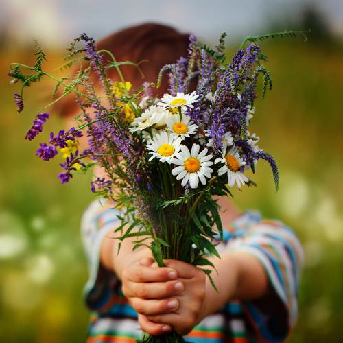 Kids Explore Nature_ Colorful Flowers