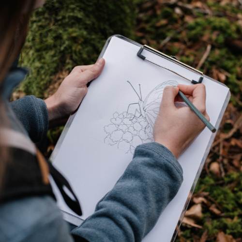 Maker's Circle_ Drawing in Nature