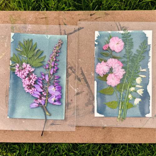 Maker's Circle_ Exploring Art through Sun Printing
