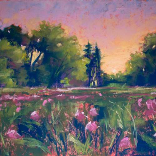 Soft Pastels_ Peony Field