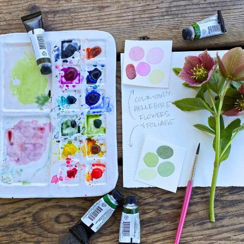 Watercolor II_ Exploring Color