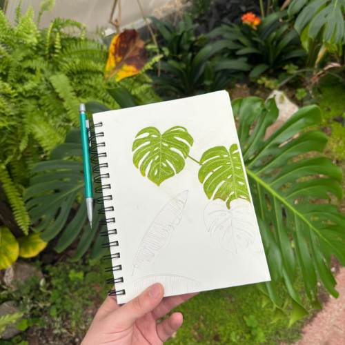 Drawing Nature Tropical Plants (1)