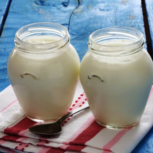 Homemade Yogurt
