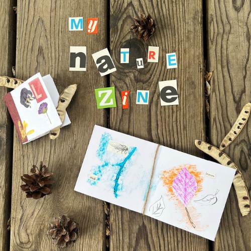 Nature Zines Art in Your Pocket (Ages 8 to 12)