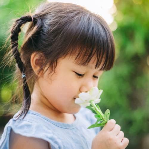 Preschool_ Fun with Flowers
