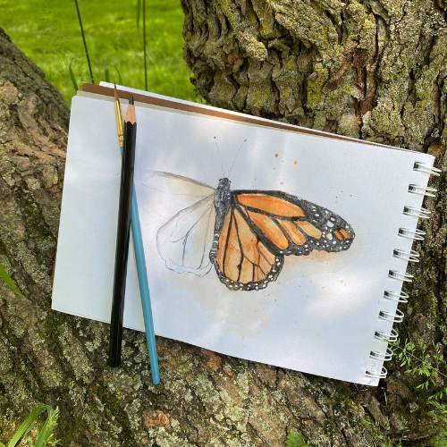 Watercolor_ Monarch Butterfly