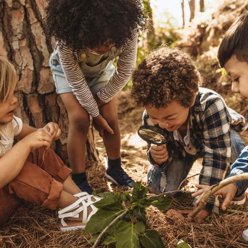 Kids Explore Nature_ Fun with Bugs!