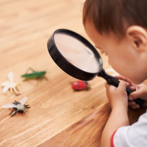 Preschool Move, Play, & Grow_ Insects!