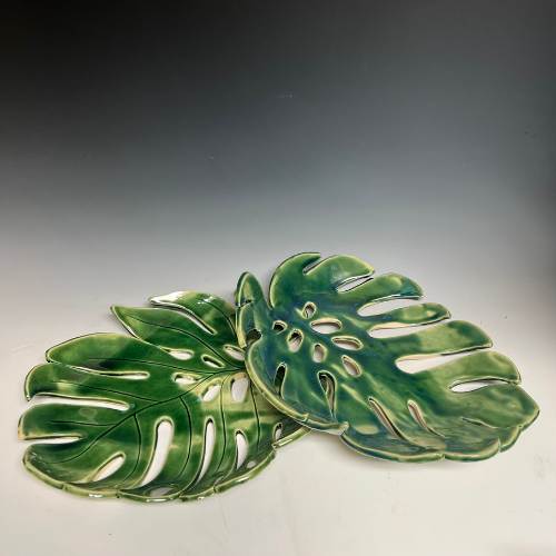 Monstera