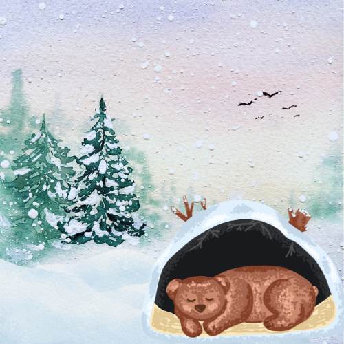 Youth Art Adventures_ Winter Sleep