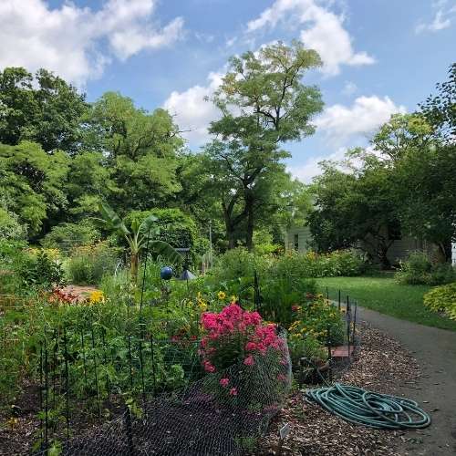 Horticulture Job