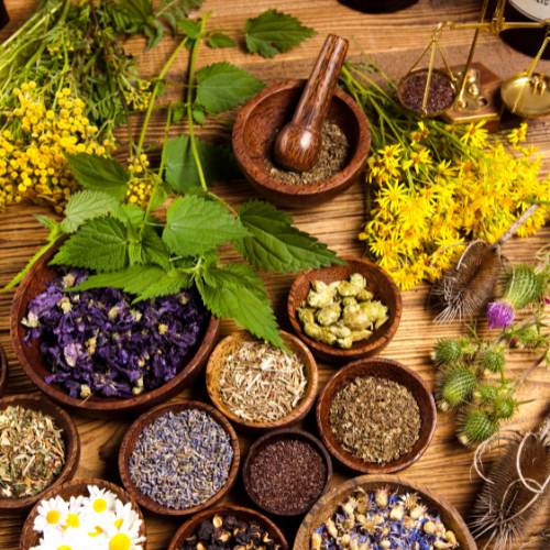 Herbal Medicine Making (1)