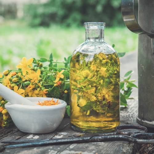 Planning Your Herb Garden