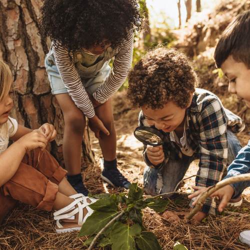 Kids Explore Nature Bees Buzz