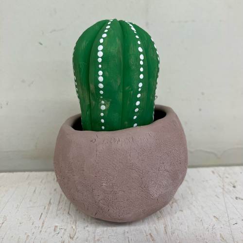 Youth Cacti