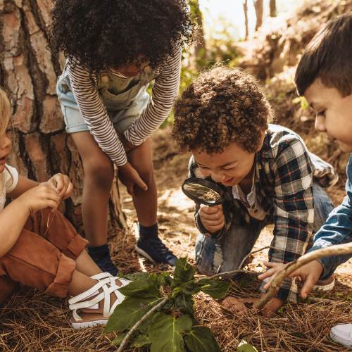 Kids Explore Nature Spiders