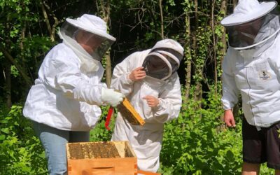 Nurturing Our Beeyard: Behind the Buzz of 577’s Hives