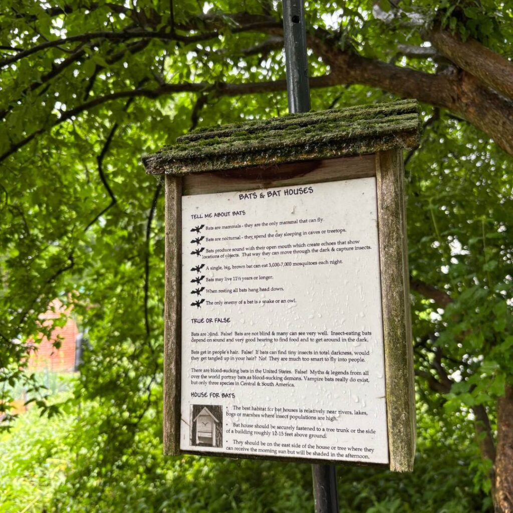 A weathered wooden sign titled “Bats & Bat Houses” is mounted outdoors under a canopy of trees. The sign features educational facts about bats, including their ability to eat thousands of mosquitoes each night and their role in ecosystems.