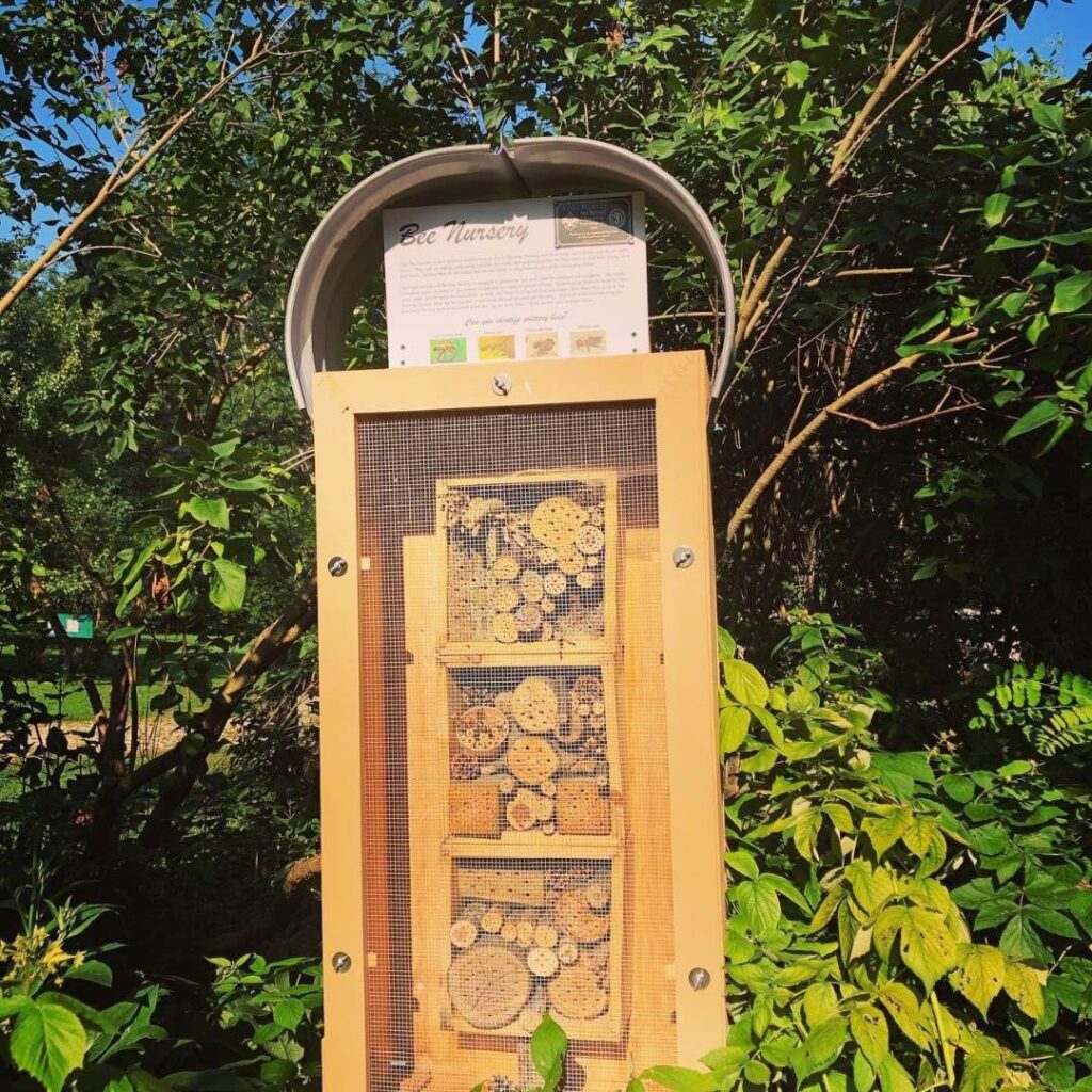 A wooden bee nursery stands in a garden. It contains bundles of hollow sticks and drilled wood blocks behind mesh, offering nesting sites for solitary bees. A sign above reads “Bee Nursery.”