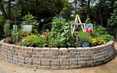 Cultivating Connections: 577’s New Keyhole Garden