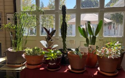 A Weekend of Greenery, Creativity, and Community at 577
