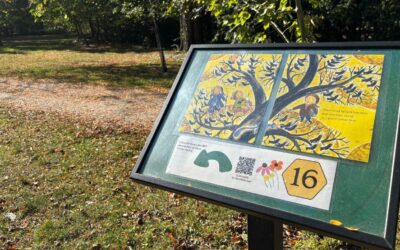 October StoryWalk®: “Yellow Time” by Lauren Stringer