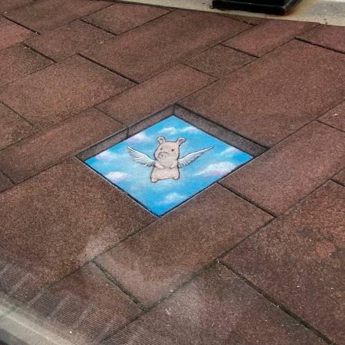 A small chalk drawing of a winged pig appears inside a square opening among reddish brick pavers, creating a whimsical illusion of the flying pig emerging from the sidewalk against a blue sky background.