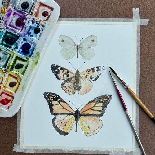 A watercolor palette and two paintbrushes rest beside a sheet of watercolor paper featuring three butterfly illustrations in various stages of completion, taped to a drawing board.