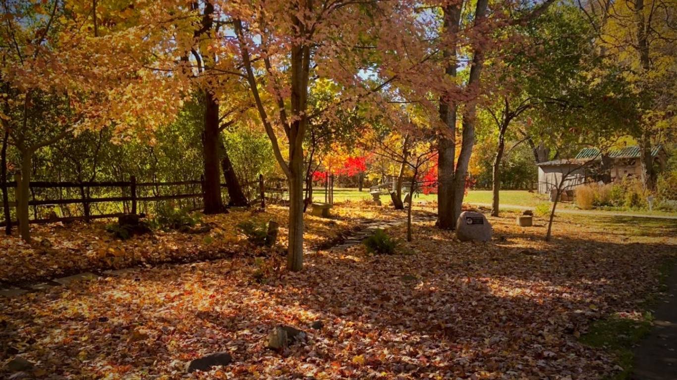 A peaceful garden path at 577 surrounded by trees in vibrant shades of orange, red, yellow, and green, with fallen autumn leaves covering the ground.