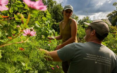 Grow With Us: Opportunities at 577