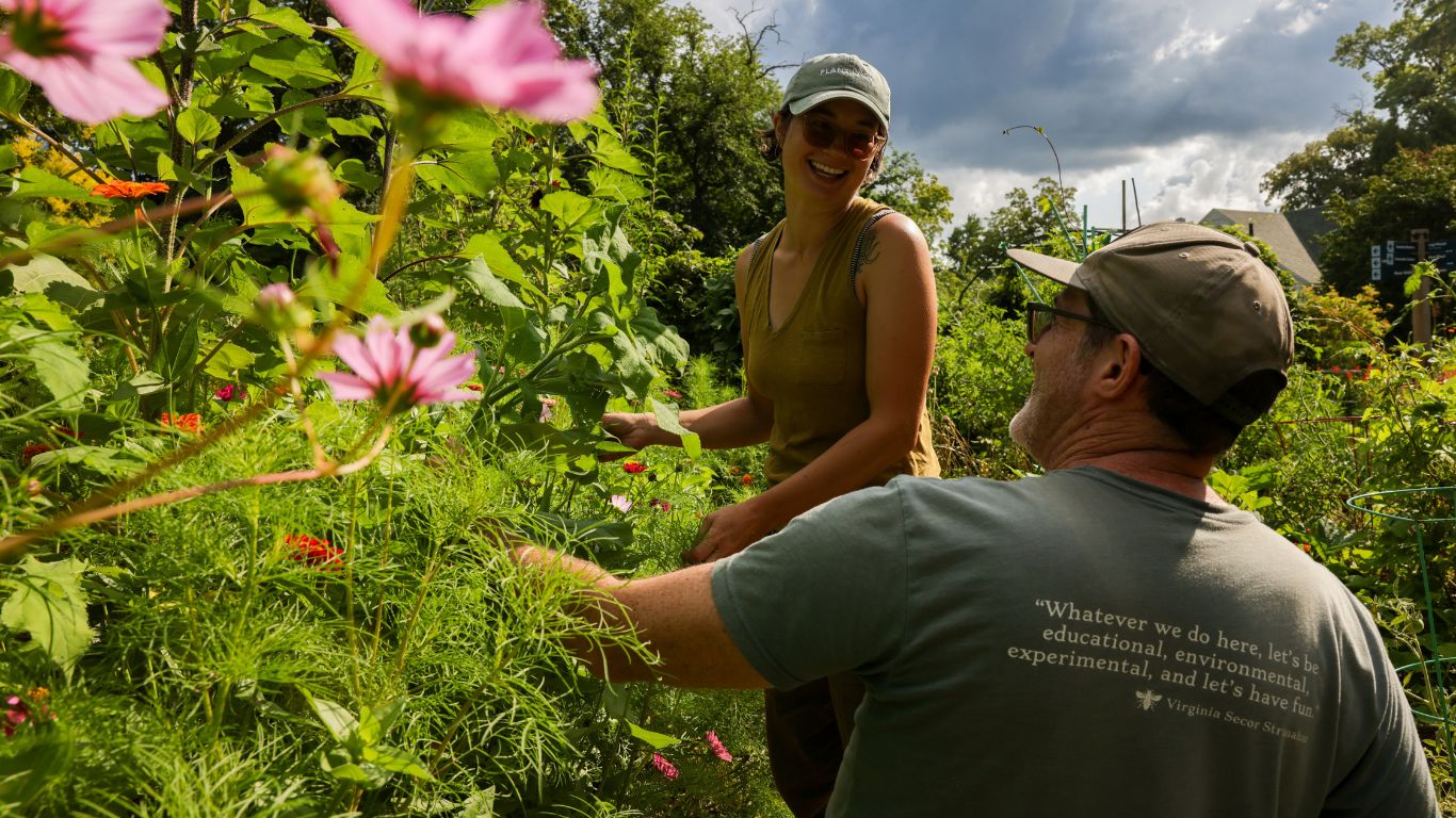 Two people working together among colorful flowers and greenery in a garden at 577.