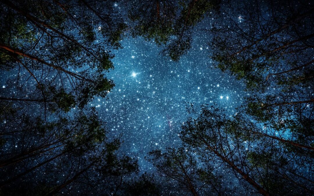 577 After Hours: Starry Skies & Firelight