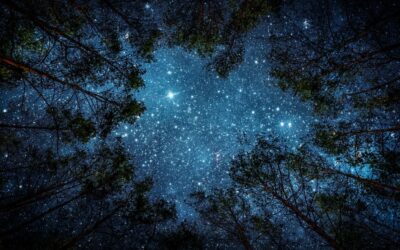 577 After Hours: Starry Skies & Firelight